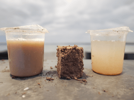 Fish waste before and after dewatering - include dry cake