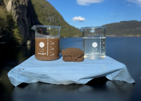 PG-Rotary-press-dewatered-fish-slude-drycake-and-reject-water PG-Rotary-press-dewatered-fish-slude-drycake-and-reject-water