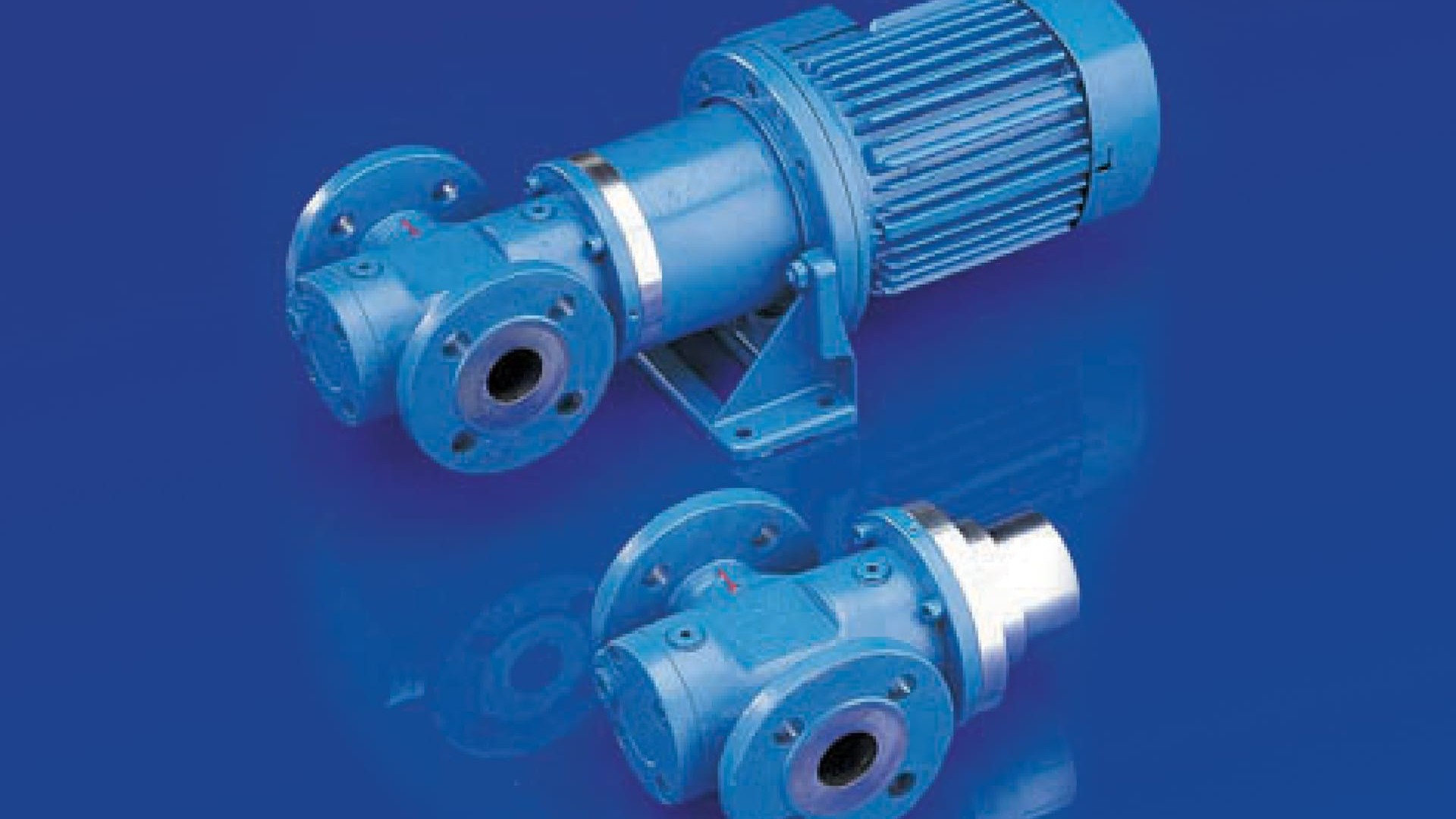 Magnetic coupled, hermetically enclosed screw pumps