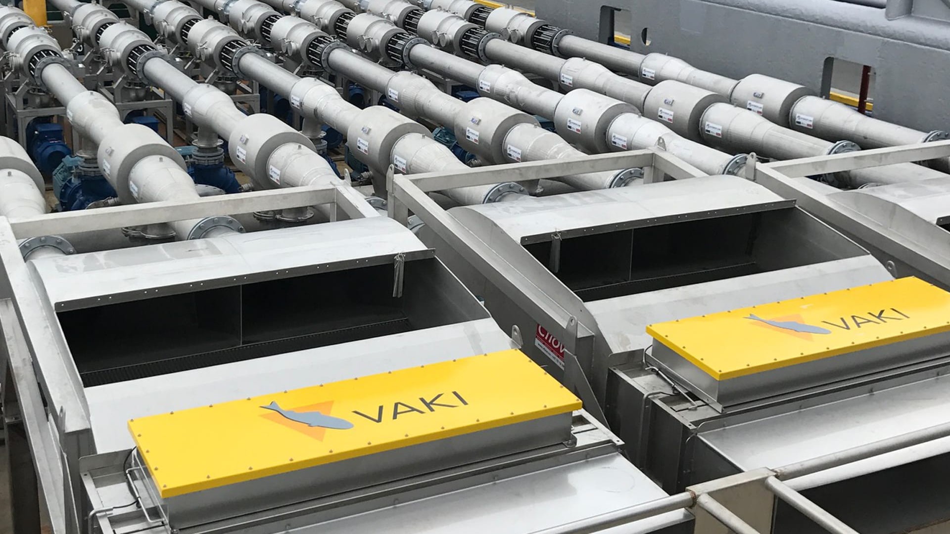PG-LACS live animal conveyor system